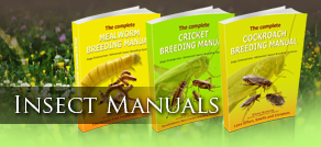 Insect Breeding Manual tab button - cockroach breeding manual with step by step instructions and photos