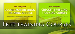 Cockroach breeding training tab button - free online insect breeding training course with 9 lessons