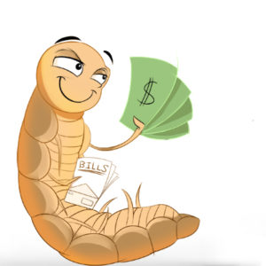 Mealworm breeding for money - commercial insect farming income from home. Turn a garage or shed into an insect breeding business.