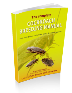 Cockroach Breeding Manual book cover - over 100 pages and hundreds of photos covering cockroach breeding for hobbyists and commercial breeders