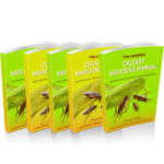 Insect breeding books and videos - comprehensive training materials for commercial and hobbyist insect breeders