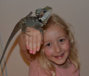 Keeping reptiles as pets - reptile care guide, how to feed reptiles, reptile husbandry tips and healthy reptile diet
