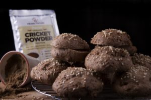 Cricket flour buns - insects as food, edible insect products, sustainable protein food made from cricket flour
