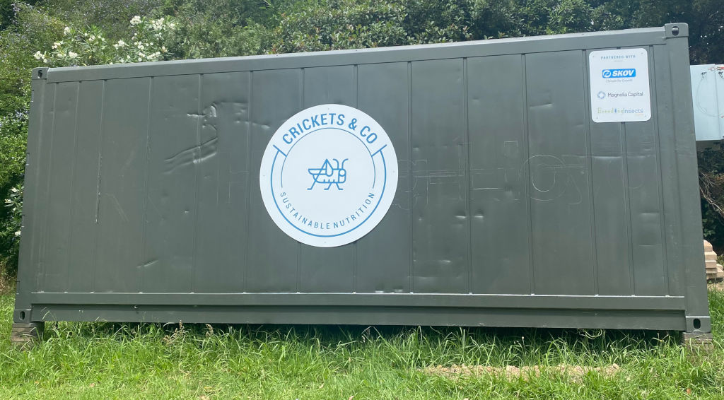 Photo of a grey shipping container of an insect farm. Insect farm is operated by Crickets and Co in partnership with BreedingInsectsHub.com