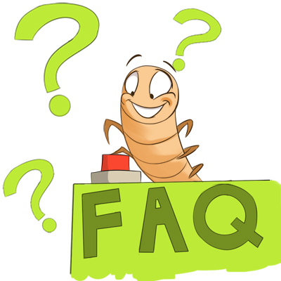 Mealworm breeding frequently asked questions - mealworm care, feeding, pests and troubleshooting guide